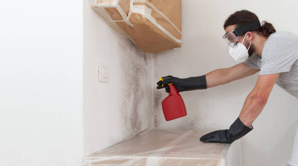 Professional Mold Removal technician working in Mantoloking, NJ